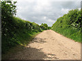 Gressenhall Farm - farm track