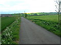 Track to Magdalen Grange Farm