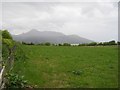 Field above Brodick Bay