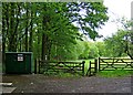 Public footpath into Wyre Forest from end of St. John