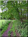 Public footpath from the Wyre Forest to St. John