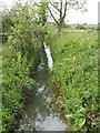 Limb Brook at South Leigh