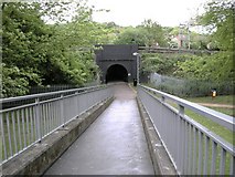 SP9808 : Berkhamsted Footbridge by Ian Rob