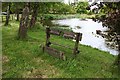 Village stocks and pond