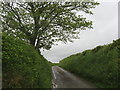 A typical sunken Cornish lane