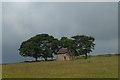 Field barn on the Morridge