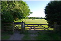 Gate at the entrance to the Recreation Ground