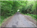 Five Oak Lane through Cockle Wood