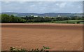 Field south of Taunton