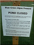 TL8562 : Blue-Green Algae Present by Keith Evans