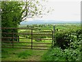 S5859 : Gate and Fields by kevin higgins