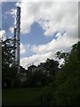 Hospital chimneys from Ruskin Park SE5