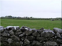 M3012 : Permanent pasture - Geehy South Townland by Mac McCarron