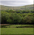 Pylon march to Pentwyn Mawr