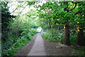 Footpath along The Pen Stream (2)