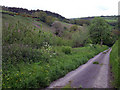 Steep drop below Penrhiwlas Farm