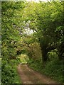 Byway near Chacewater