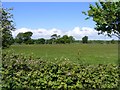 M4613 : Silage field and Castle Taylor - Castletaylor South Townland by Mac McCarron
