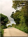 Lane beside Wheal Unity Wood Mine