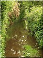 Flooded bridleway near Wheal Busy