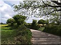 Road  near Penstraze