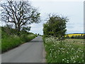 The road west from Manton