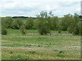 Kennet valley near Manton