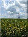 Blue Sky Yellow Field