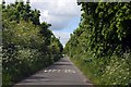 Track to the Chilton Downs