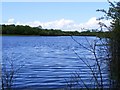 M4305 : Coole River and turlough - Coole Demesne Townland by Mac McCarron