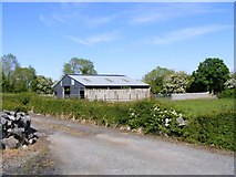 M4206 : Cattle shed and pasture - Crannagh Townland by Mac McCarron
