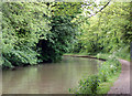 Grand Union Canal west of bridge 41