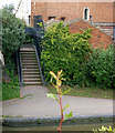 Steps to Grand Union Canal from Tachbrook Road, Leamington