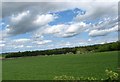 Cropped field near Roxburgh Mains