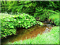 Stream near the Elim Chapel