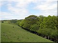 Allt Troed-y-rhiw.