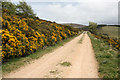 Track from Glenmullie to Casfuar