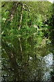 The Monmouthshire and Brecon Canal