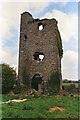 S6513 : Gorteens Castle, Co. Kilkenny by Kieran Campbell