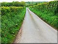 Minor road near Llwyn-y-Brain