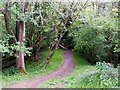 Stream Crossing in the Painswick Valley