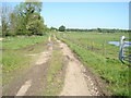 Footpath on track