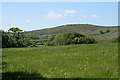 Widecombe in the Moor: towards Corndon Tor