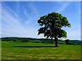 Countryside near Hermitage