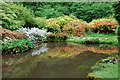 Ornamental Pond Lydney Park Gardens