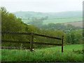 Tre-wern Wood, west of Whitland