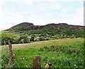 View from Carrbrook Fold