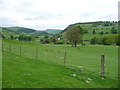 View towards Llanarmon Dyffryn Ceiriog