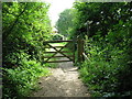 Footpath meets bridleway at Brownhill