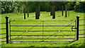 Iron Gate in Gatton Park